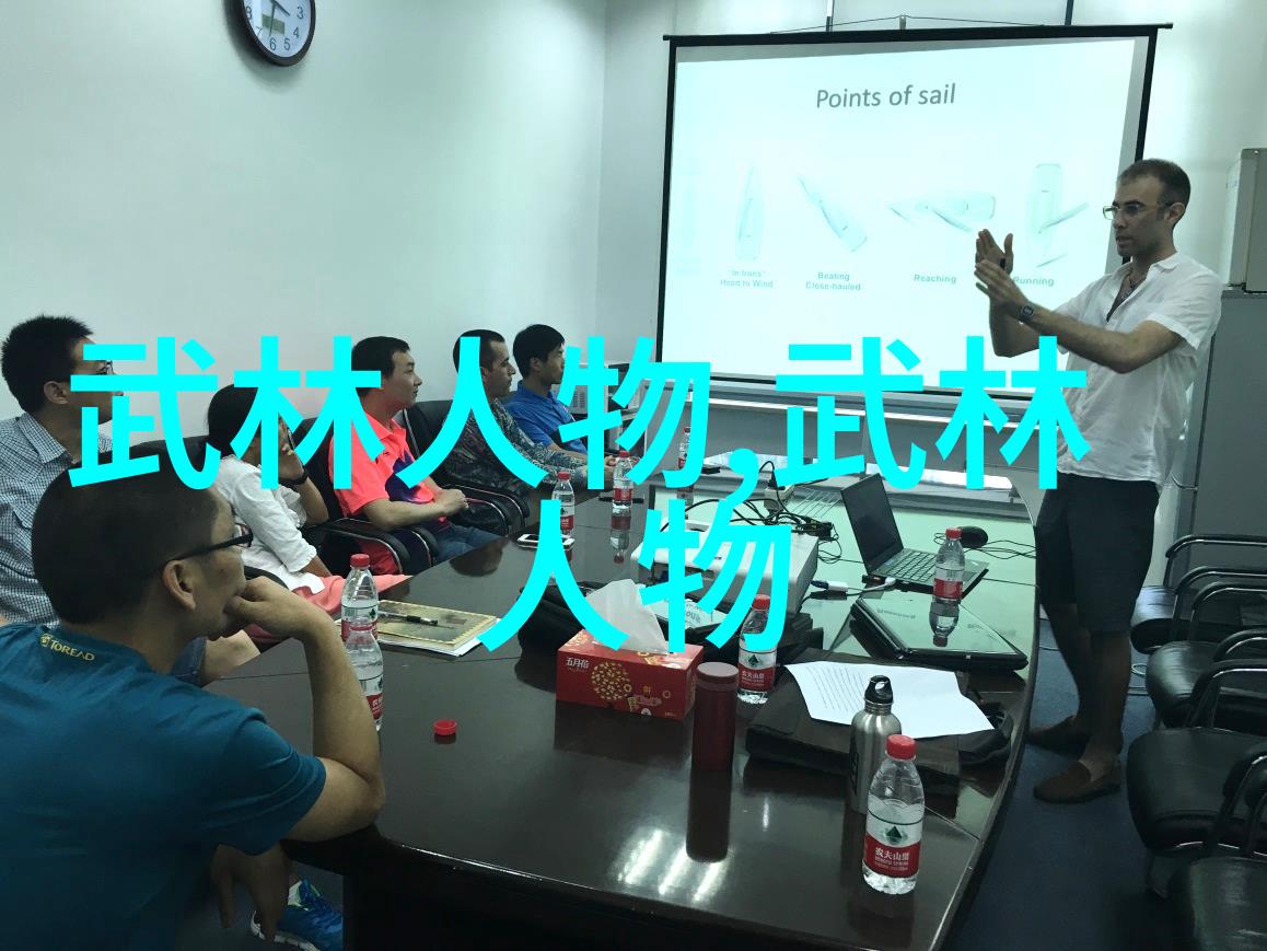 武林高手的孤独买壮图