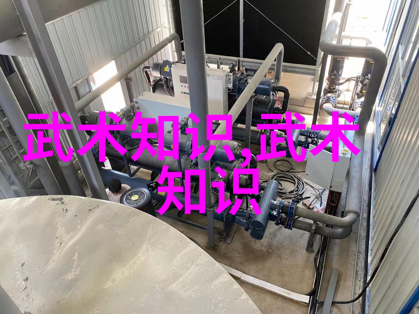 我在网上找到了各种武功秘籍图片揭秘江湖一网打尽的武学宝典