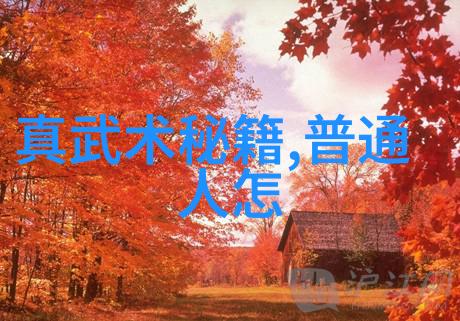 世界游泳锦标赛蝶泳呼吸换气与动作协调技术