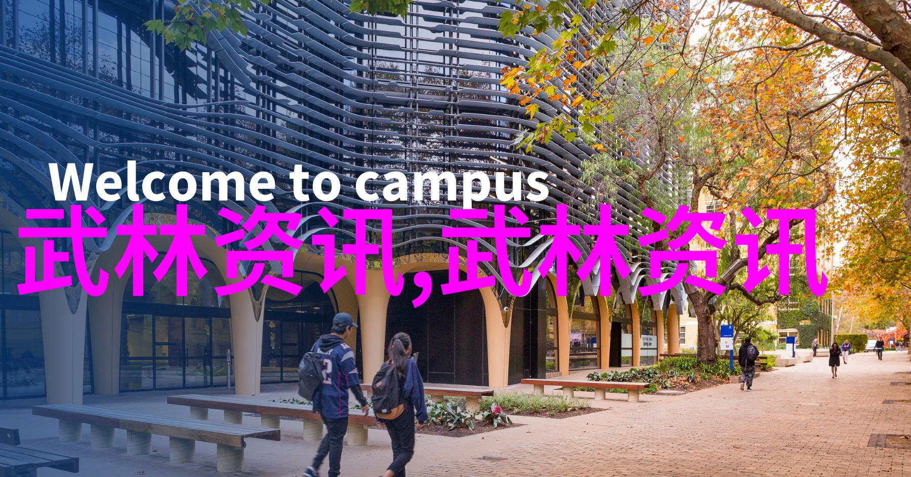 体验中华民族精神通过学习中国各种拳法