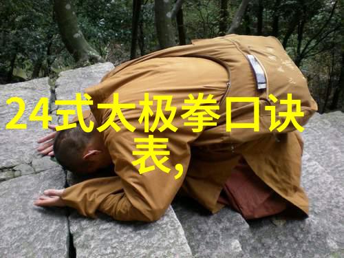 中华武林探寻中国现在最厉害的门派