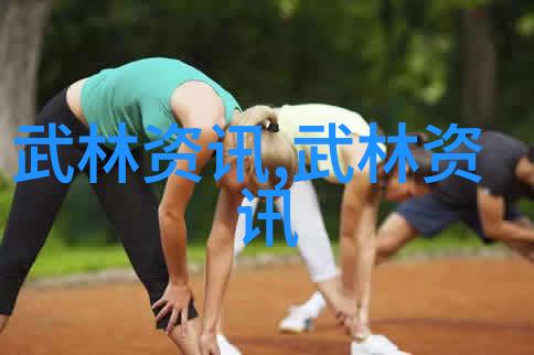 揭秘不同流派的武学之路