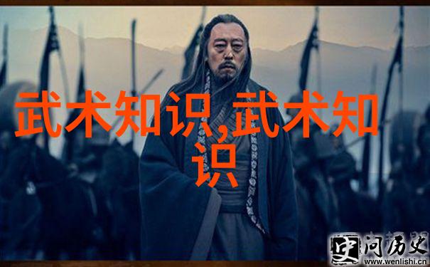 高校校园内弘扬武术价值的思考-樊花梅