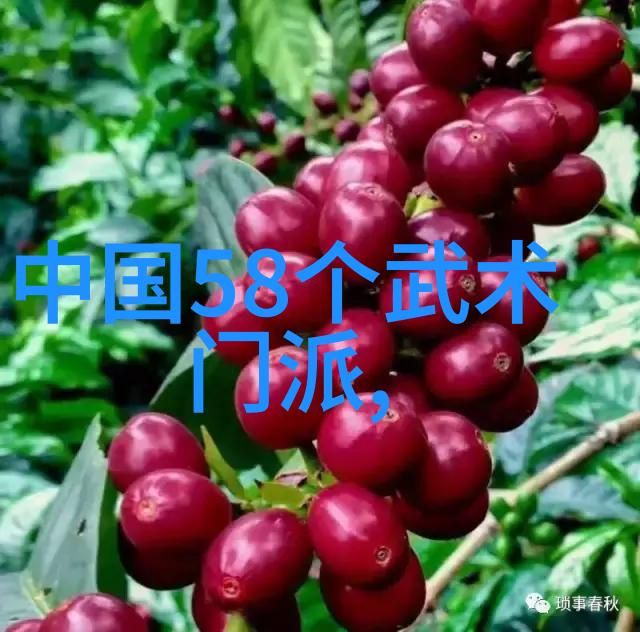 何姿袭红裙庆生中国跳水新星又长一岁 愿姿丝们健康成长