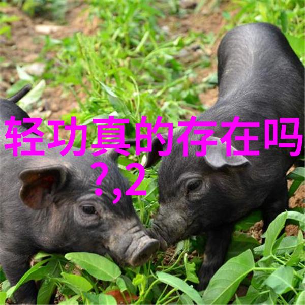 中国武功怎么练太极拳的步伐秘诀