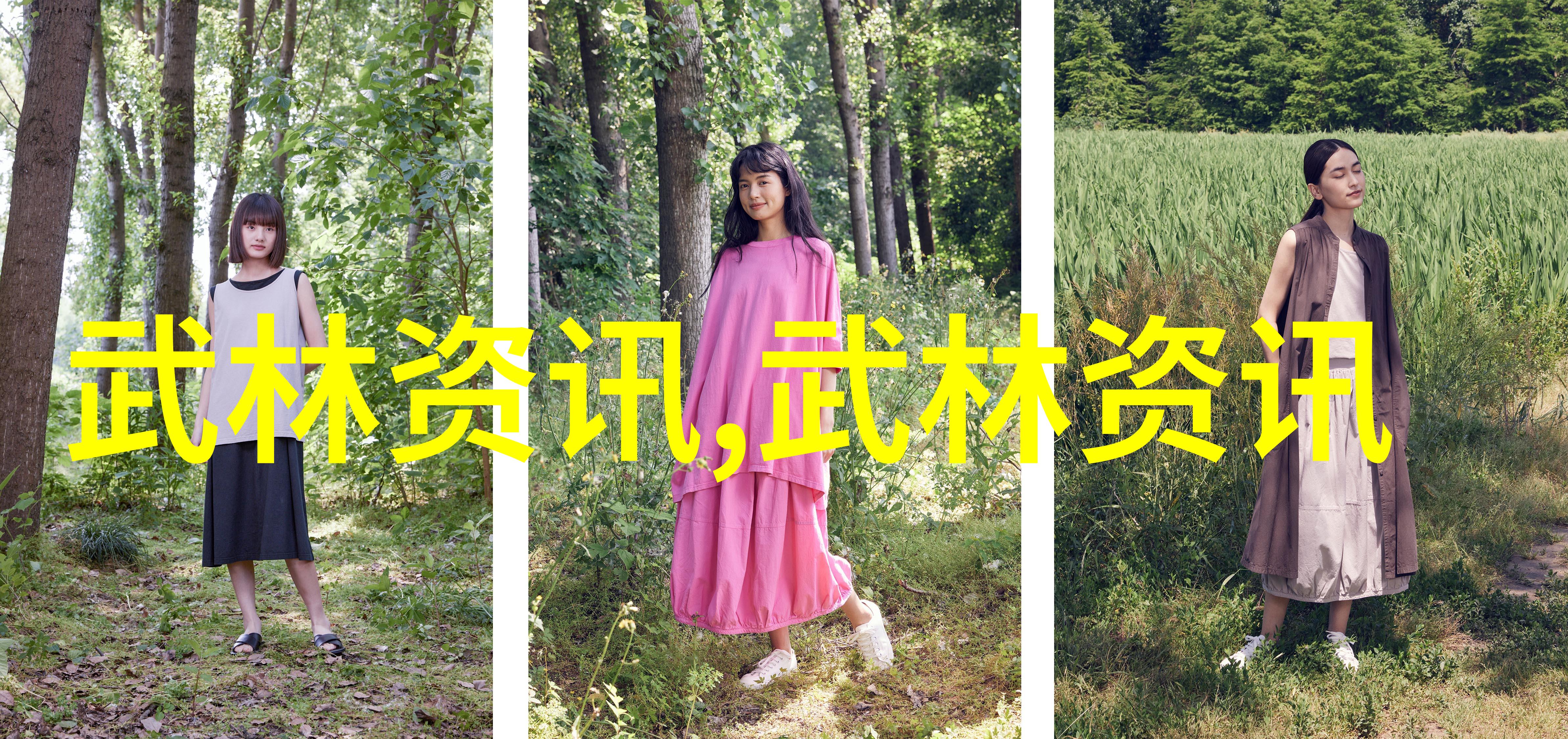 太极拳24式自学图解 - 揭秘太极拳24式一本指南助你轻松掌握内外兼修的武功