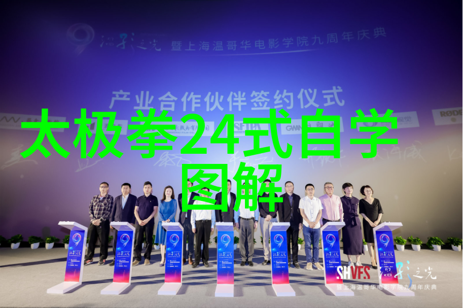 武学秘籍内家剑法悟道指南