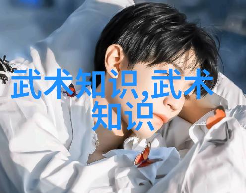 武功秘籍大全 拳法 - 掌握千年拳法解密武功秘籍大全的精髓