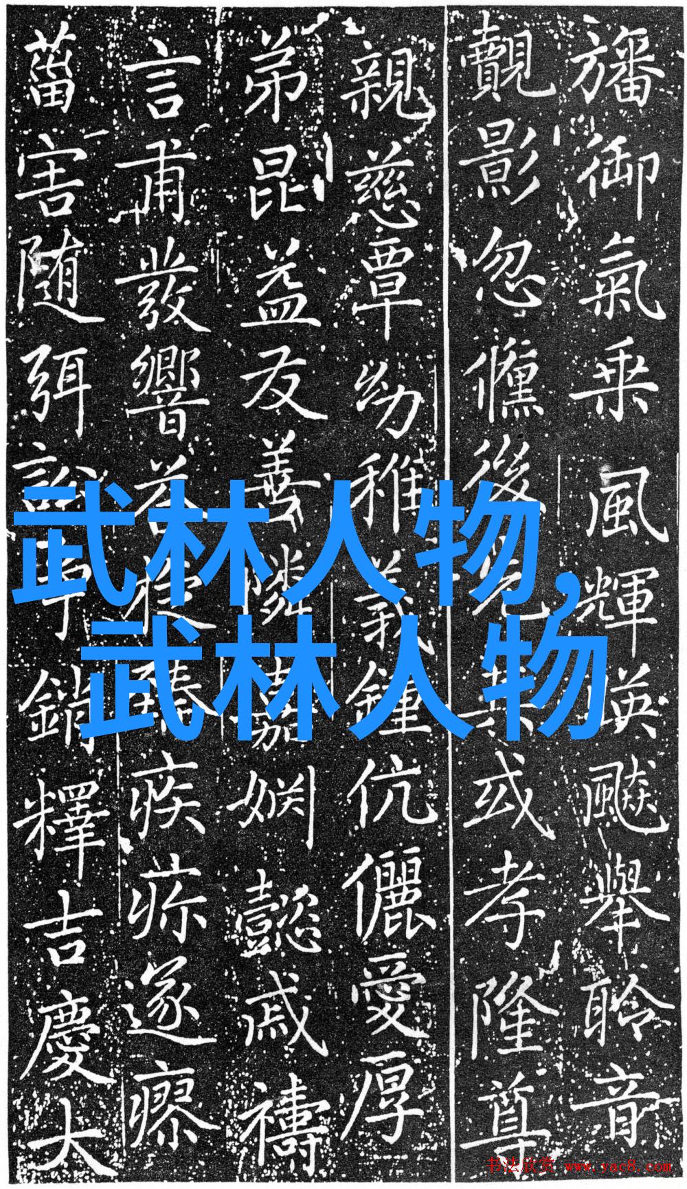 在社会的纷扰中李胜花和吕春亭相继展现了他们的武功秘籍大全太极拳法