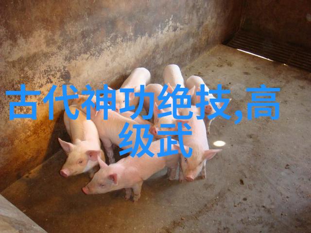 探秘武林高手各大门派谁的修炼方法最独特