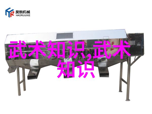 中国武术十大拳法排名少林派拳种的传承与实用