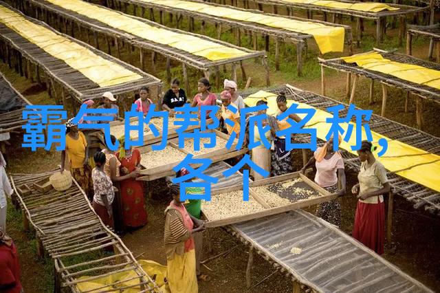神秘古籍寻踪揭秘修真功法秘籍9000部