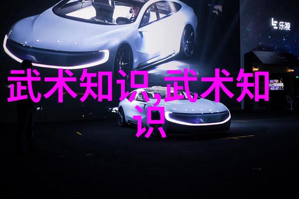 松开的掤劲张志明古代最强武功在社会中绽放