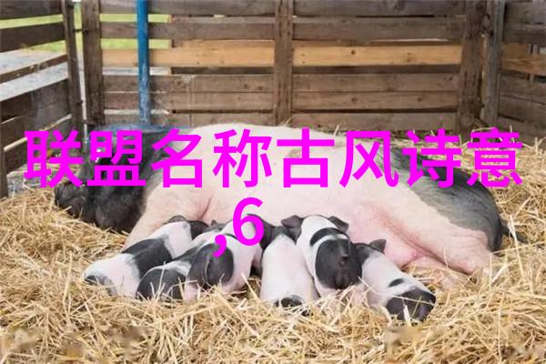 武林秘笈-刃锋之舞用刀的武林门派艺术探究