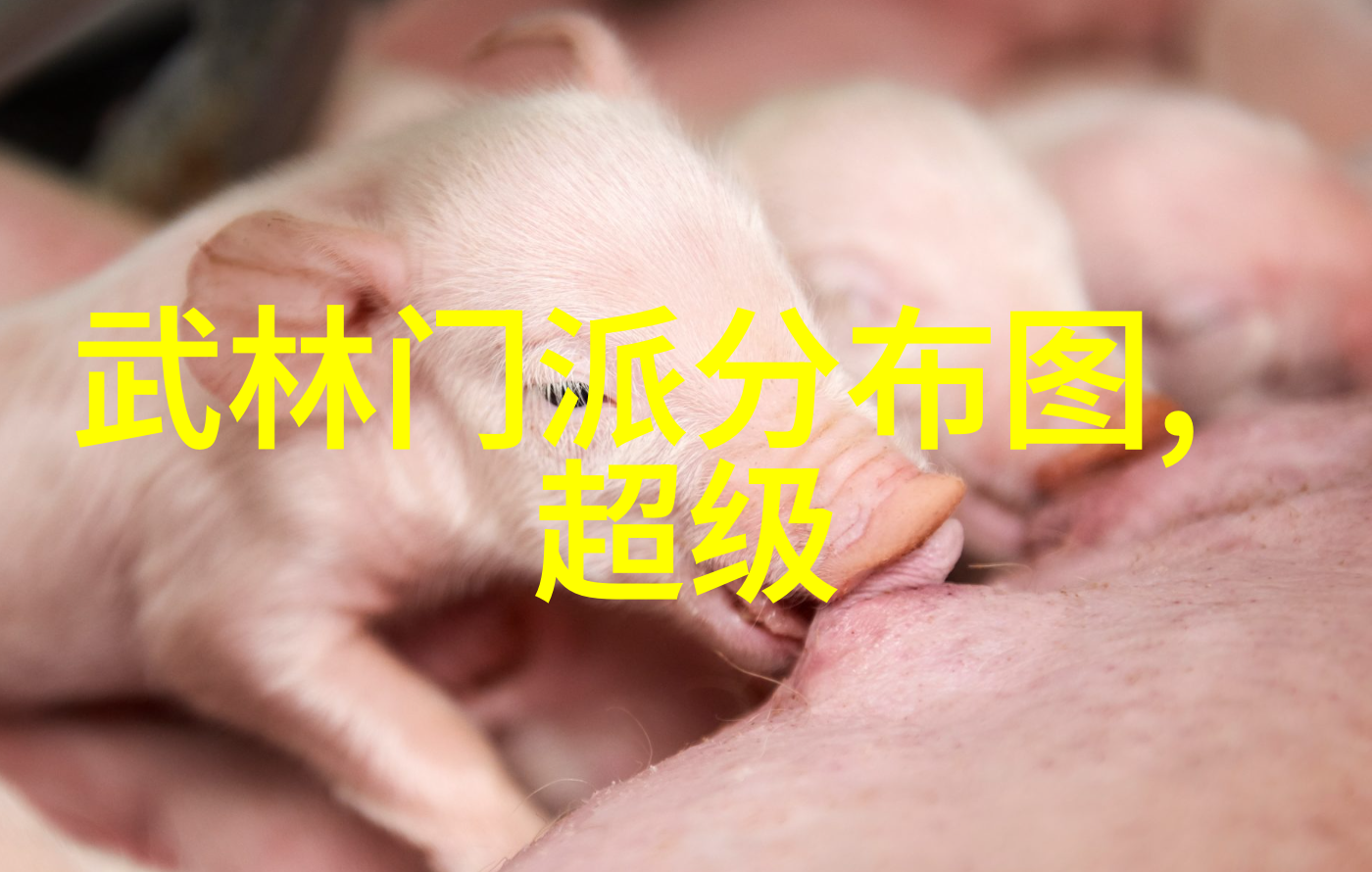 武术禁用网站了解中国禁止武术的法律背景