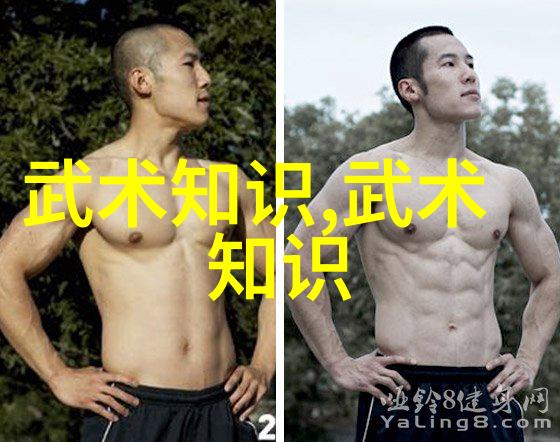 时空纷扰追寻时间轮回解开命运结局