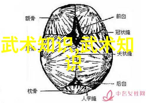 蜜爱直播APP下载官方下载微信版我来告诉你怎么轻松获取