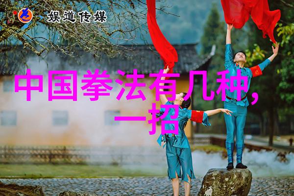 功夫秘籍教学从打架到打笑脸