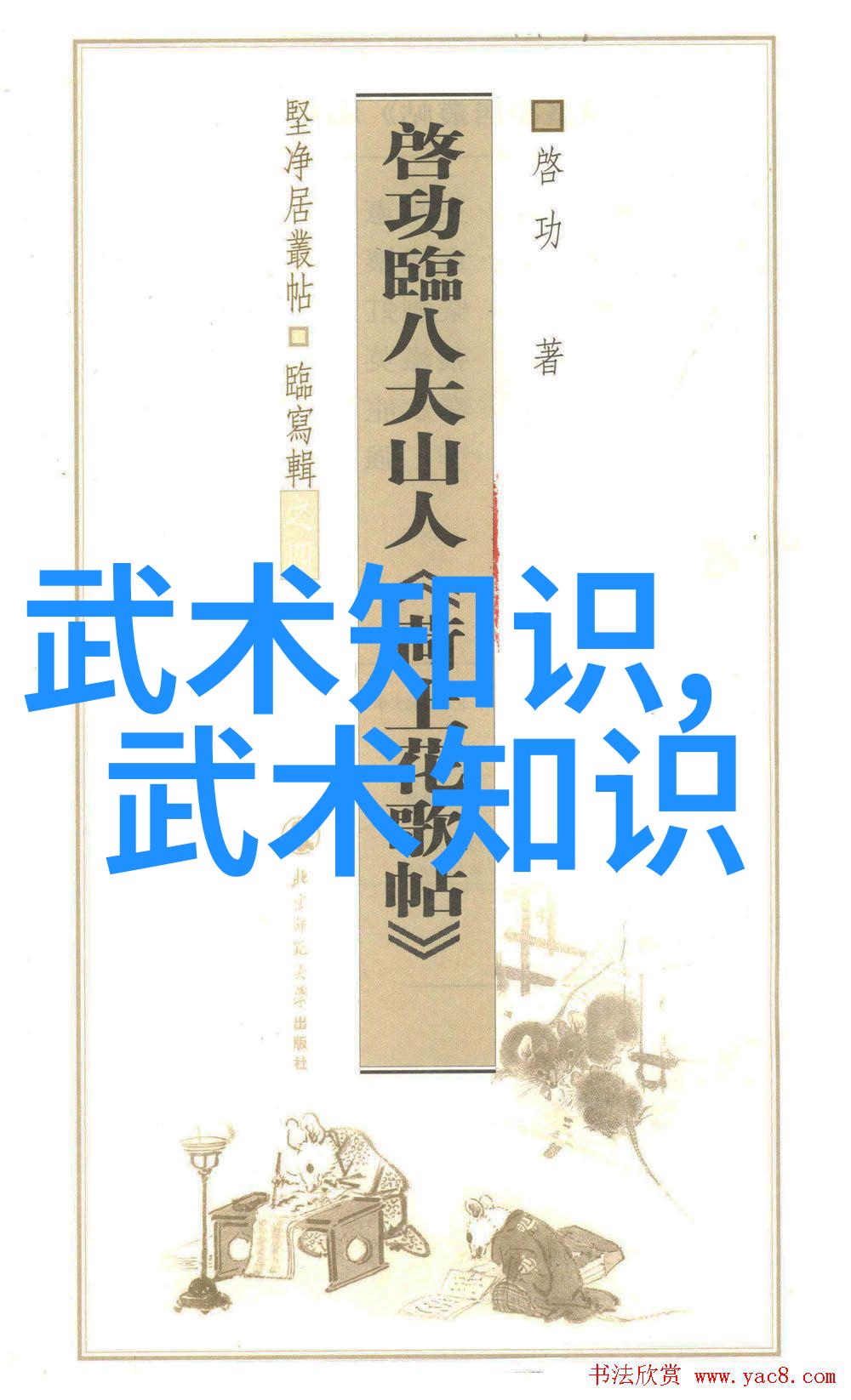 中国乒乓球协会关于乒乓球台周围空地标准与两桌间距要求的规定