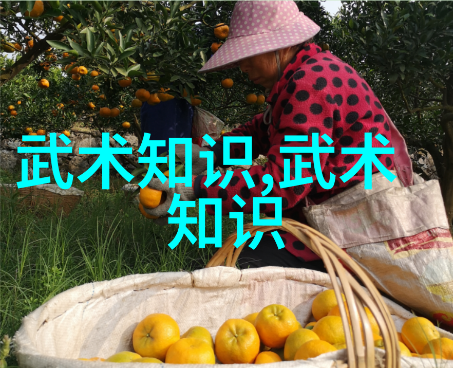 我来告诉你你不知道的中国修真门派揭秘那些真实存在的神秘组织