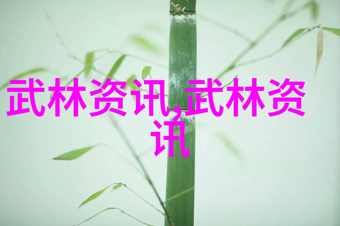默悟武道自学之路的影踪