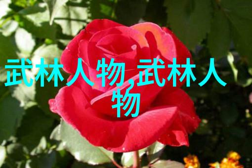 孙浩东武林英雄的武术人生
