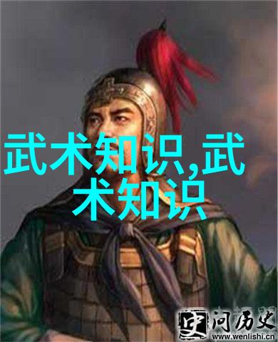 内家拳法探索武学之精髓
