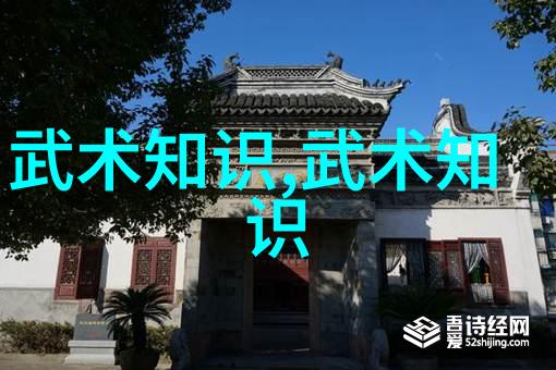 中华武林巅峰揭秘中国十大最强武术的奥秘与辉煌