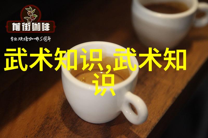 南拳与华拳哪路更强探秘两大武术流派的对决