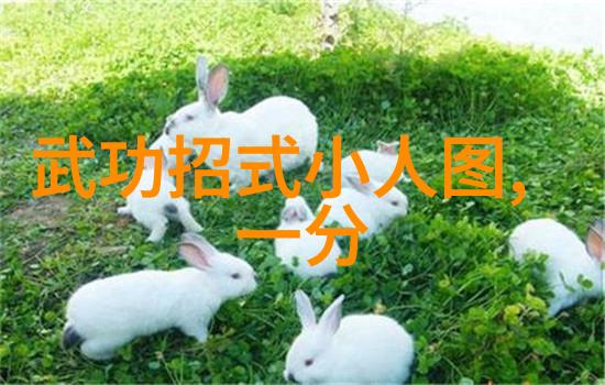 MINUS8动画的新篇章追寻奇幻世界的脚步