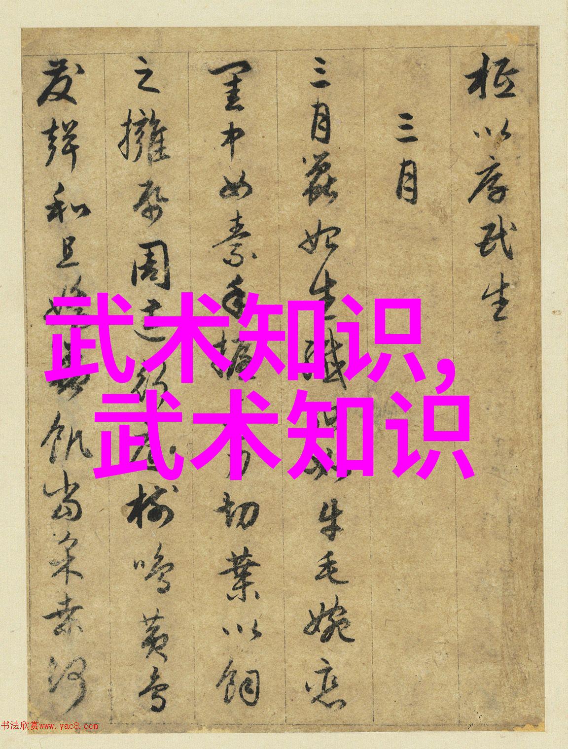 中国拳法之美武术的多样性与魅力