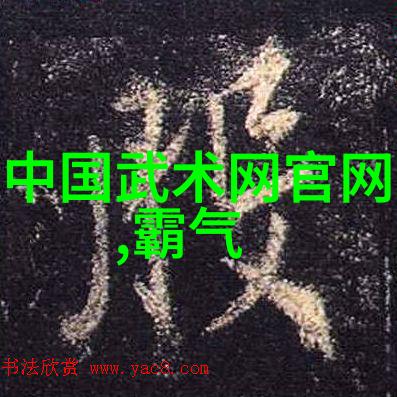 中国十大剑法之谜揭秘古代武林中那些隐世的剑术真传