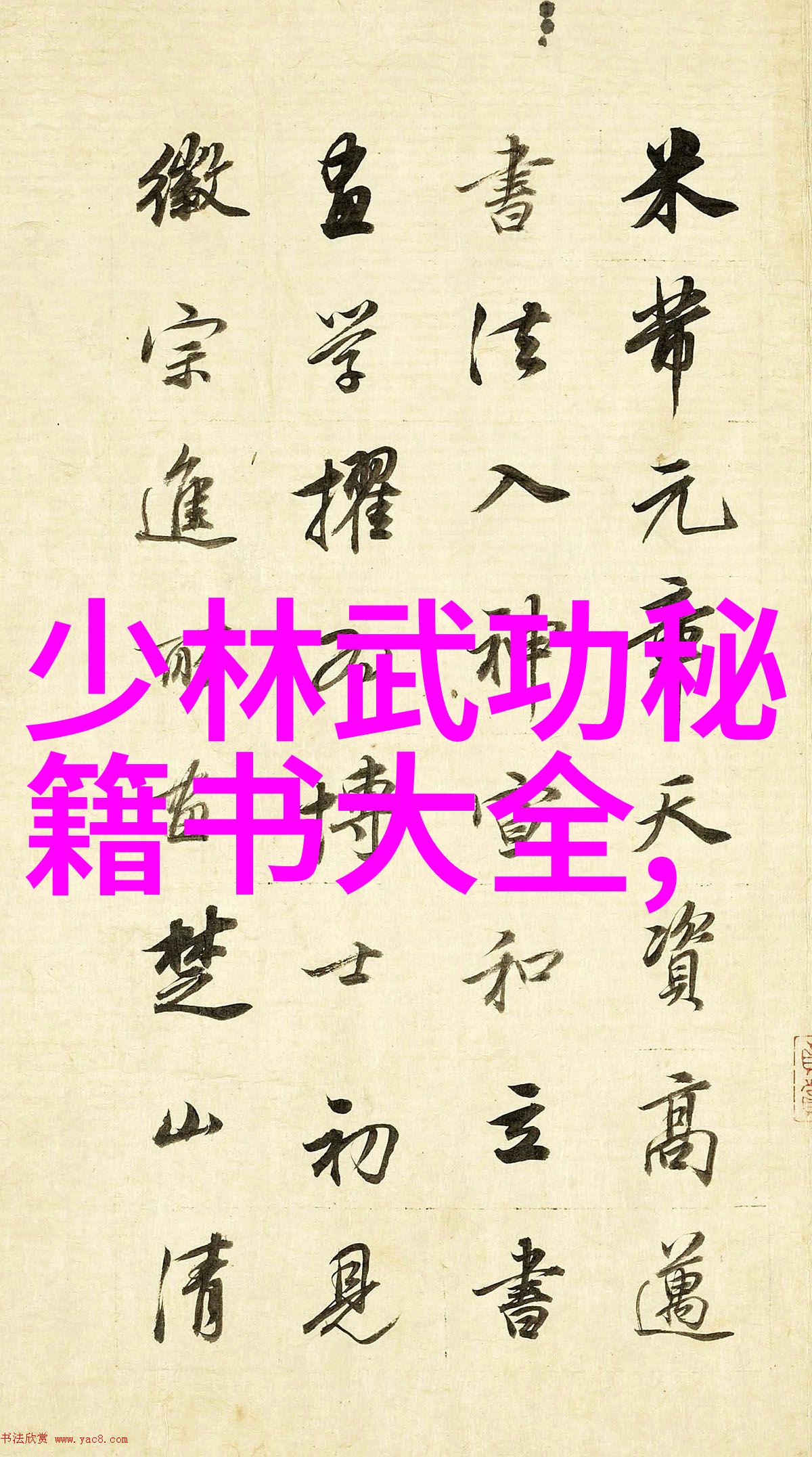 中国拳法的多样魅力探索数十种风格与技巧