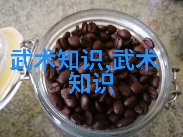 武功秘籍大全招式拳法图片 - 探秘古老武学揭秘千手神拳的奥义与动作图解
