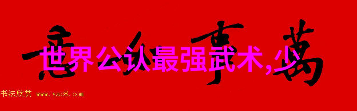 少年英雄的拳脚之旅揭秘少儿散打武术的魅力