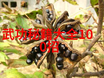 触摸不羁染指之后的艺术探索