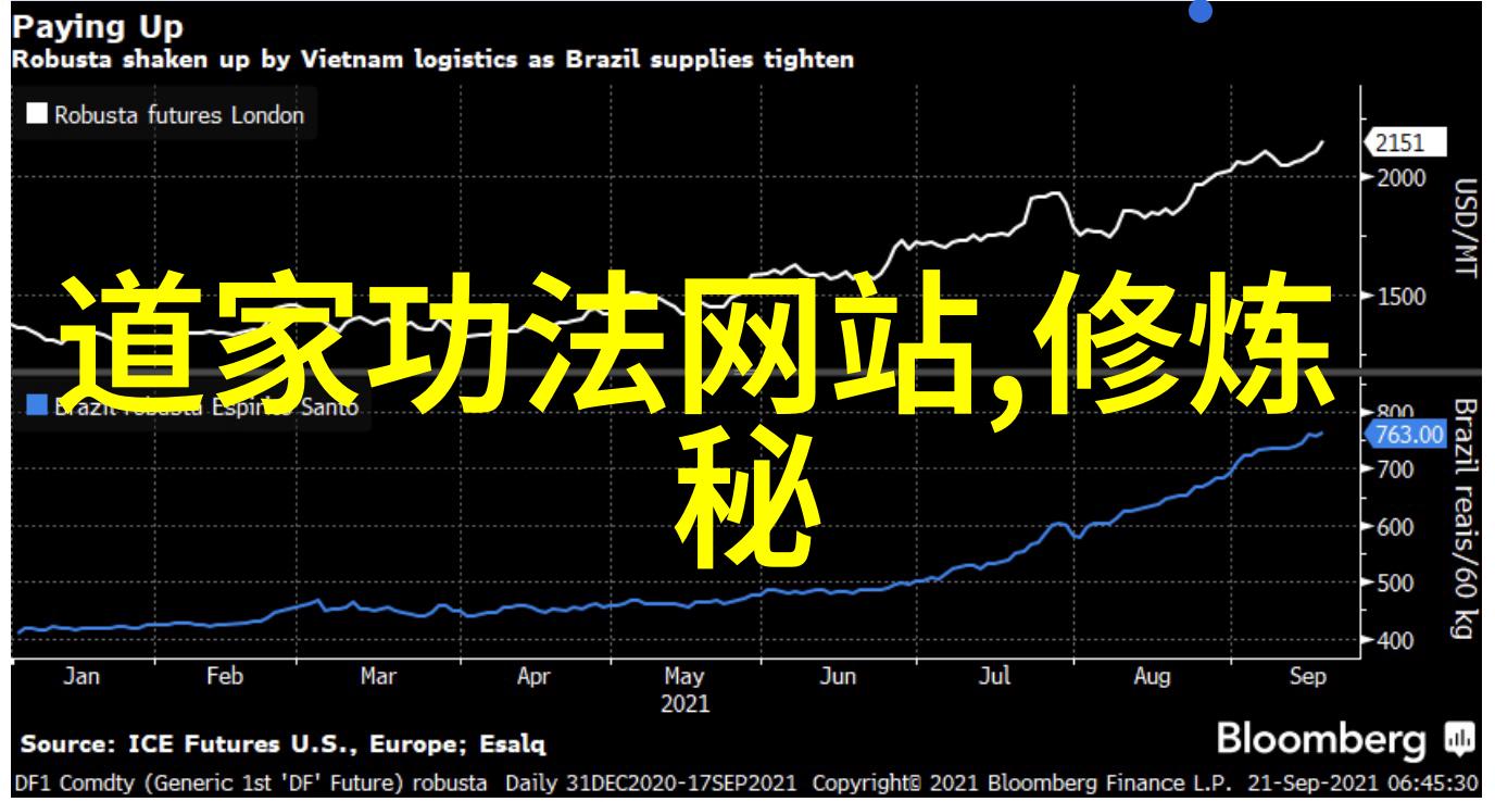 在国际舞台上哪些中国传统武术家或师傅因其技艺而闻名遐迩