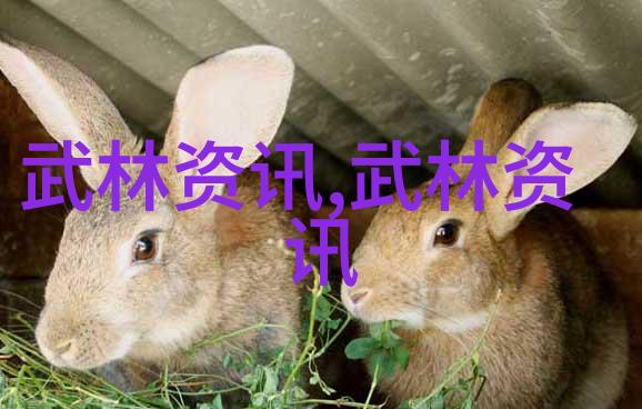 昆仑派开派宗师顶级宗门之巅