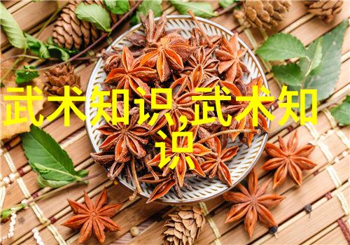 武侠世界的秘密宝藏我揭秘了这十大最强武功秘籍你准备好了吗