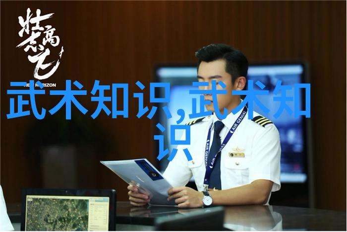 武林秘籍招式大全带图解锁古典武术绝学