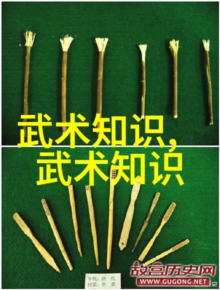 康比特i健身自然之美追求健身健美的饮食生活方式