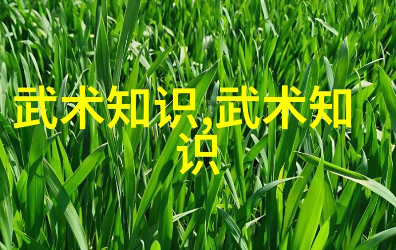 金庸武林风云 武当派拳法秘籍