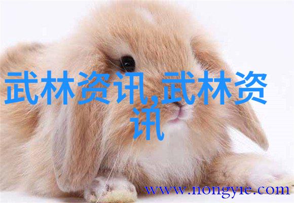 在社会的舞台上李胜花和吕春亭共同演绎中规中矩的十三式太极拳分解动作