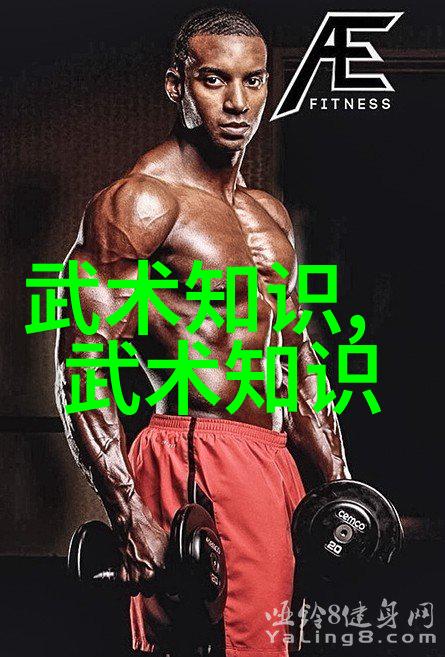 中国武术门派-揭秘中国古典武术从少林到黄龙探索众多名门的奥秘