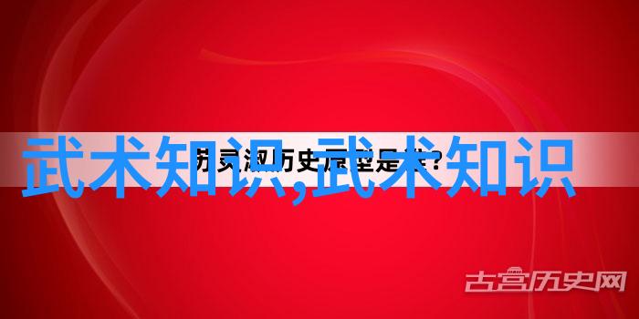 王文贤探索古风剑法之精髓反复铸就套路的辉煌