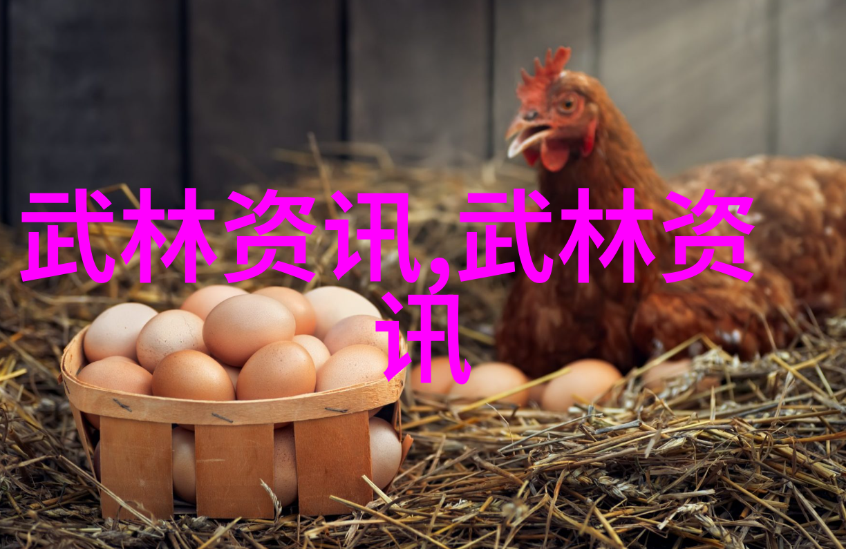 中国最著名的武术流派我为什么热爱练习这门古老的龙拳