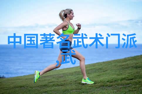 仙门秘籍田派太极拳轻功与内力之谜解锁