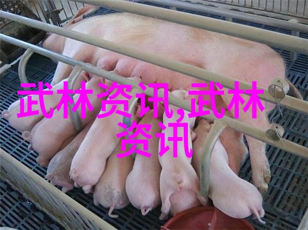 武林十大门派名字我来给你聊聊那些年代的秘密