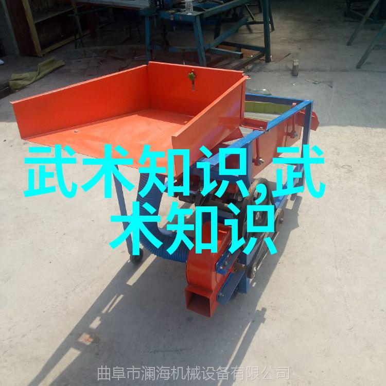 秘笈之谜武学深藏的玄机