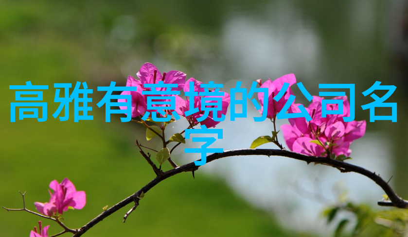 古风帮会秘籍 探索幽梦幫的神秘传承